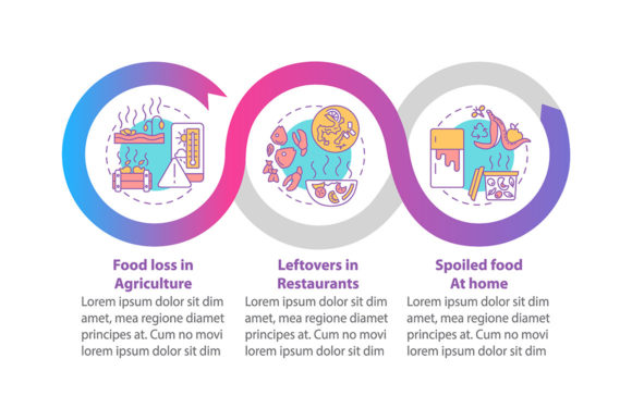 Food Waste Kinds Vector Infographic Design Guide